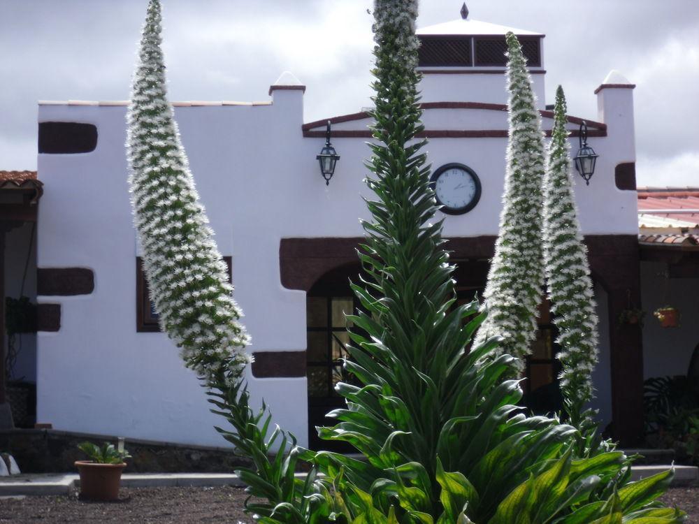 Finca El Picacho Hotel Valle de Guerra Exterior foto